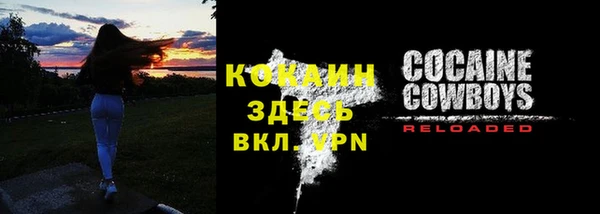 ГАЛЛЮЦИНОГЕННЫЕ ГРИБЫ Абаза