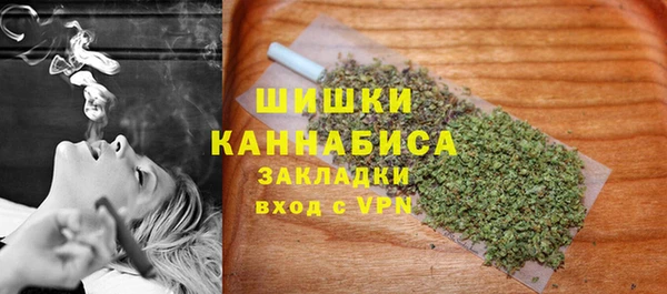ГАЛЛЮЦИНОГЕННЫЕ ГРИБЫ Абаза