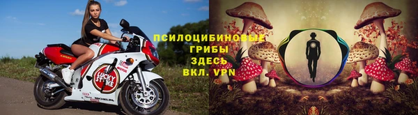 ГАЛЛЮЦИНОГЕННЫЕ ГРИБЫ Абаза