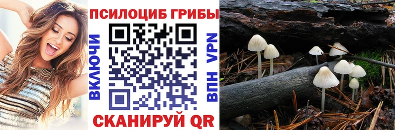 Псилоцибиновые грибы ЛСД  купить наркотик  KRAKEN маркетплейс  Стрежевой 