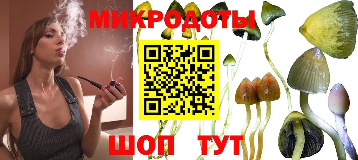 Стрежевой  Галлюциногенные грибы Psilocybine cubensis  Вход с VPN  Псилоцибиновые грибы Cubensis 